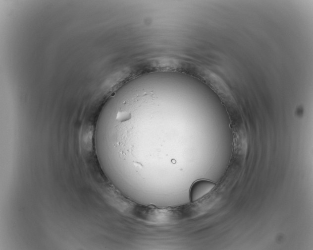 X0000093770717200710231312