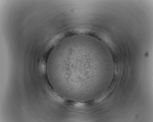 X0000093770718200710231312