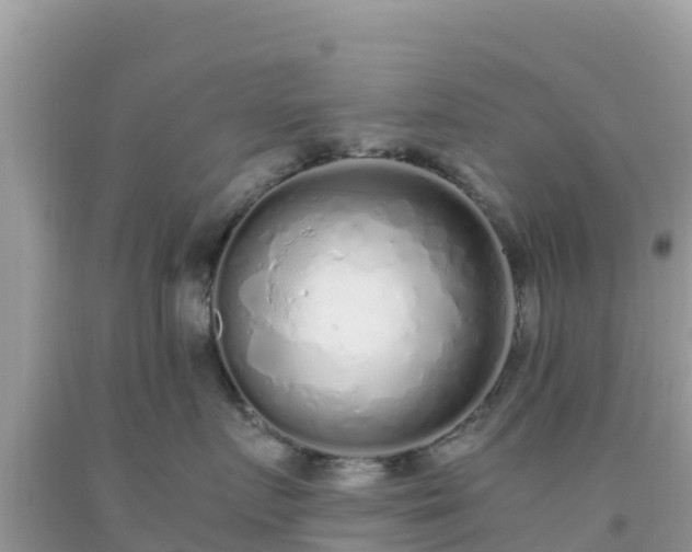 X0000093770719200710231312