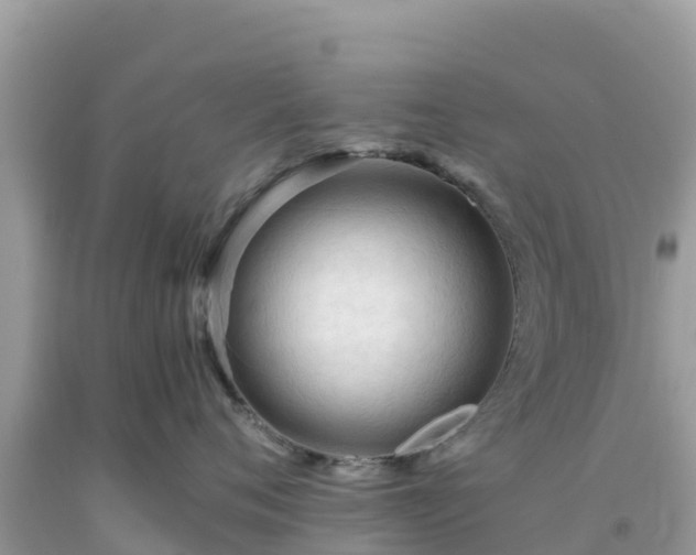 X0000093770720200710231312