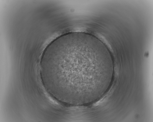 X0000093770721200710231312