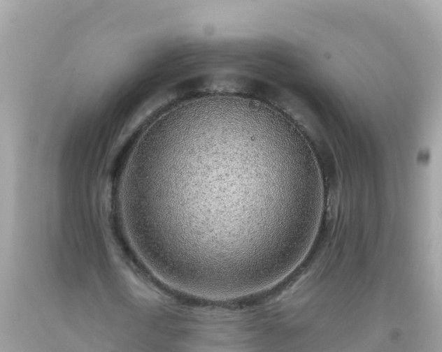 X0000093770722200710231312