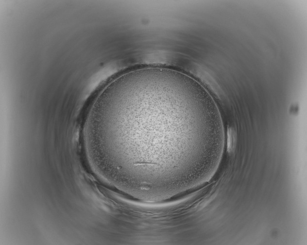 X0000093770723200710231312