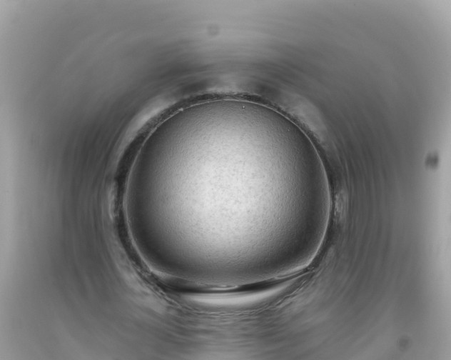 X0000093770724200710231312