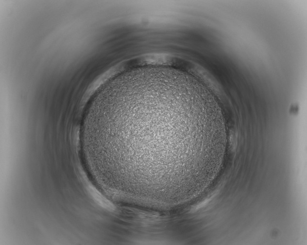 X0000093770725200710231312