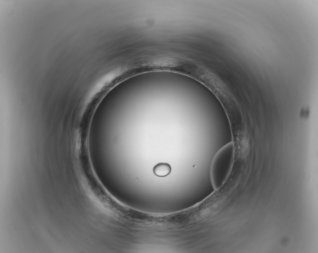 X0000093770726200710231312