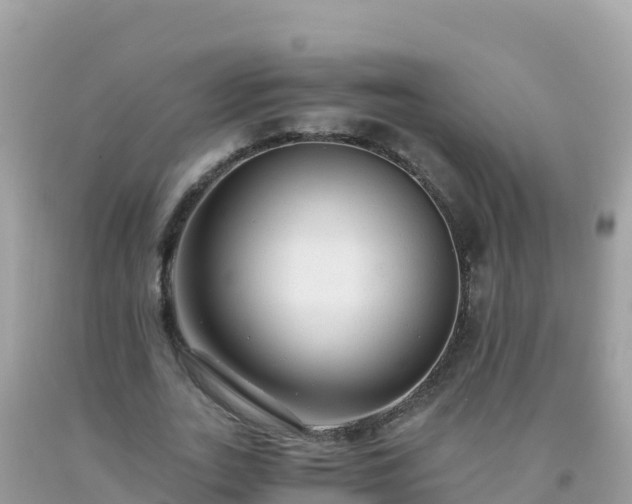 X0000093770727200710231312