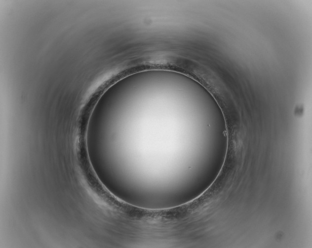 X0000093770728200710231312