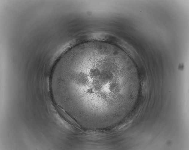 X0000093770729200710231312