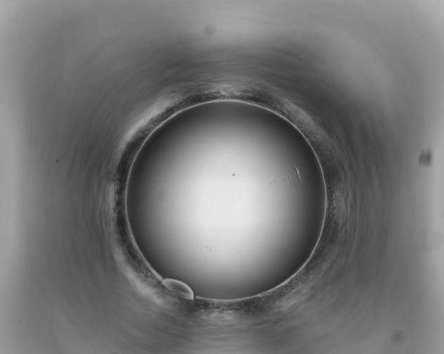 X0000093770730200710231312