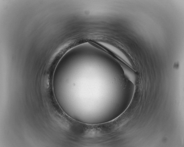 X0000093770731200710231312