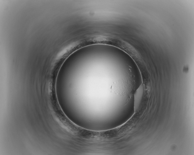 X0000093770732200710231312