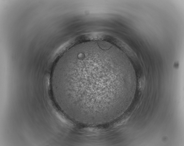 X0000093770733200710231312