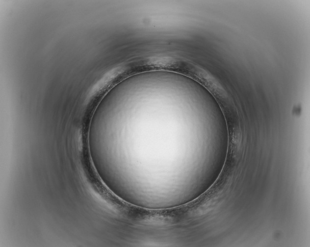 X0000093770734200710231312