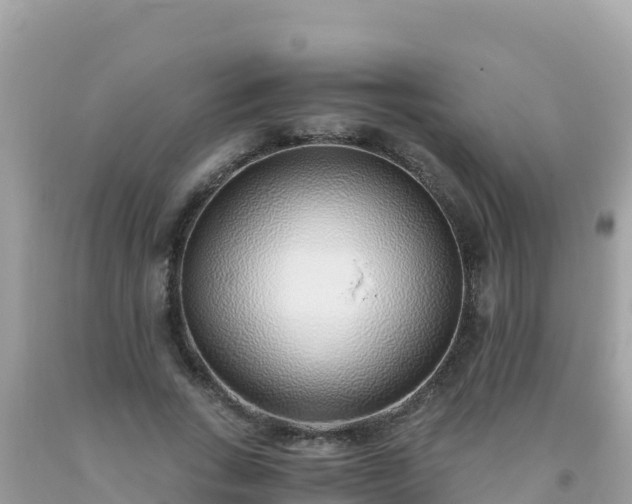 X0000093770735200710231312