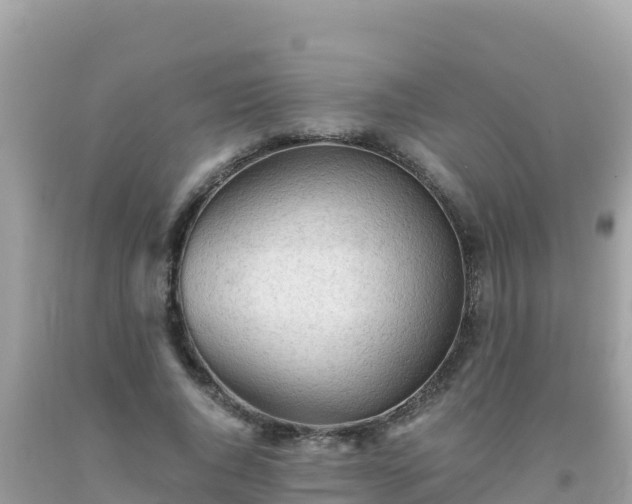 X0000093770736200710231312