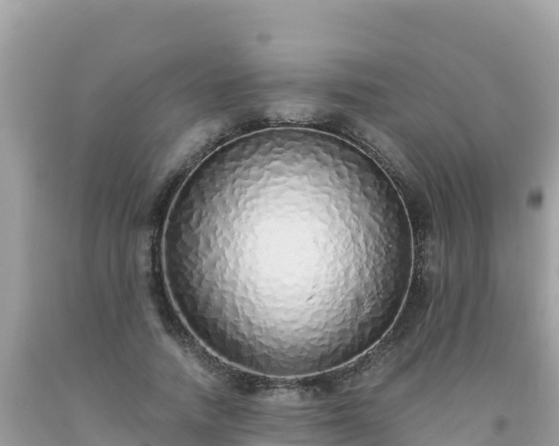 X0000093770738200710231312