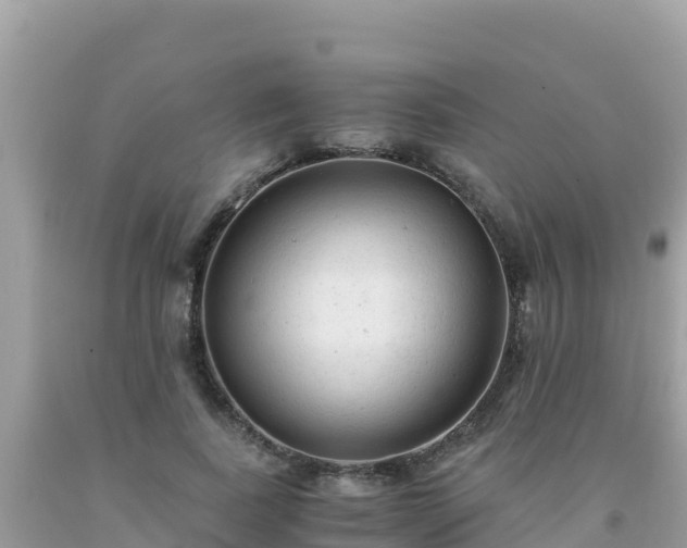 X0000093770739200710231312