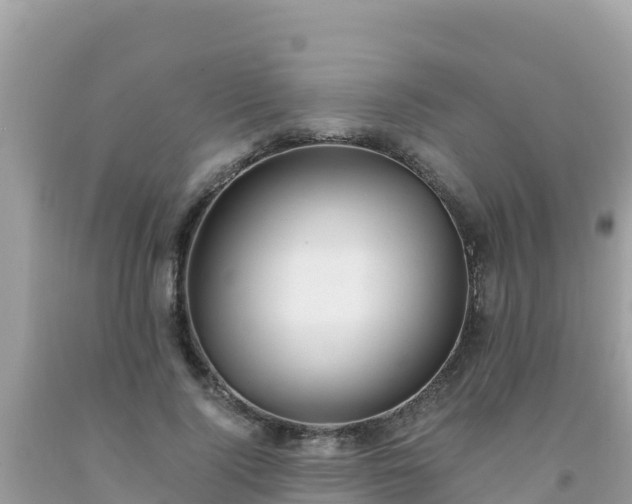 X0000093770740200710231312