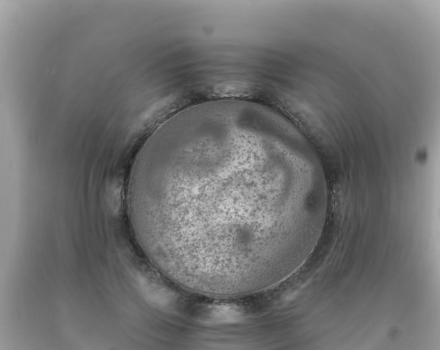 X0000093770741200710231312