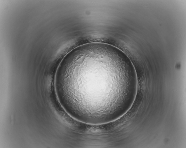 X0000093770742200710231312