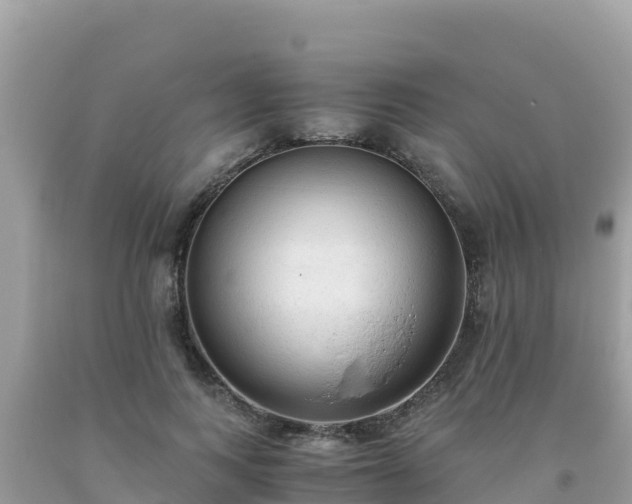 X0000093770743200710231312