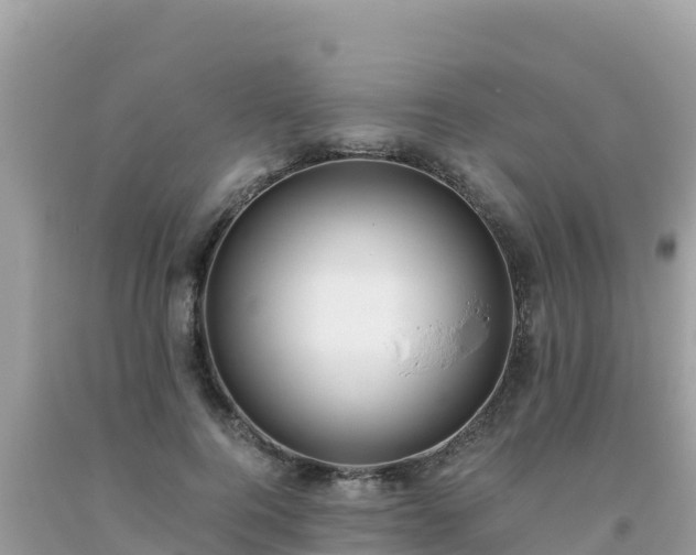 X0000093770744200710231312