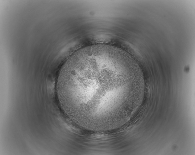 X0000093770745200710231312