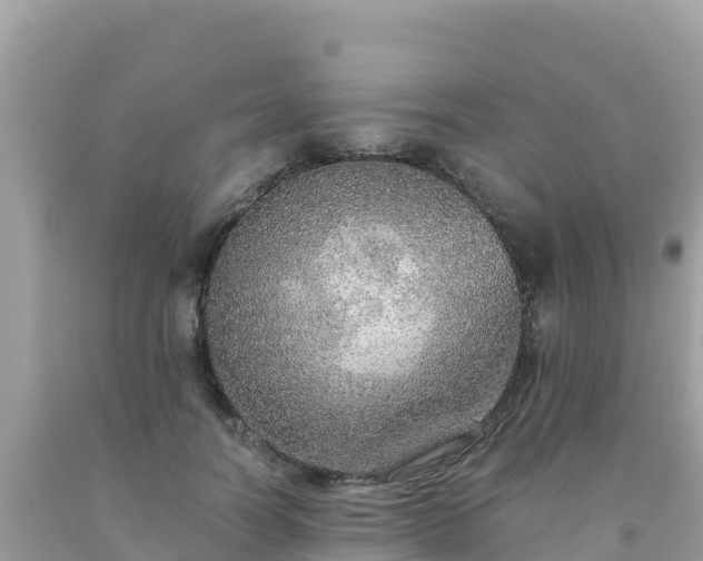 X0000093770746200710231312