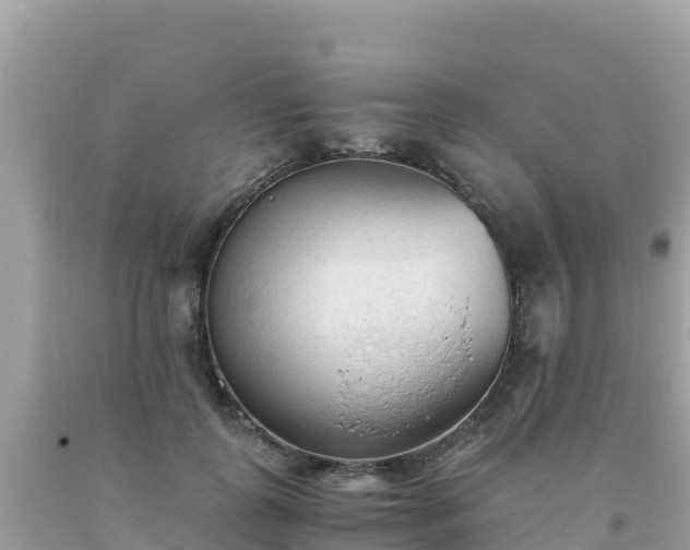 X0000093770747200710231312