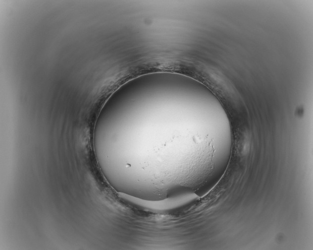 X0000093770748200710231312