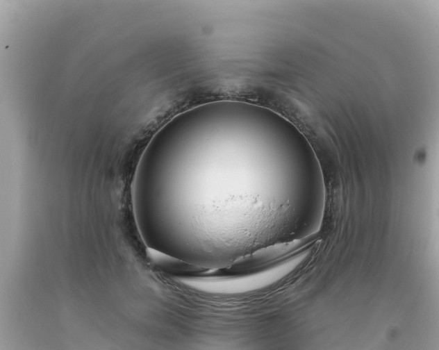 X0000093770750200710231312