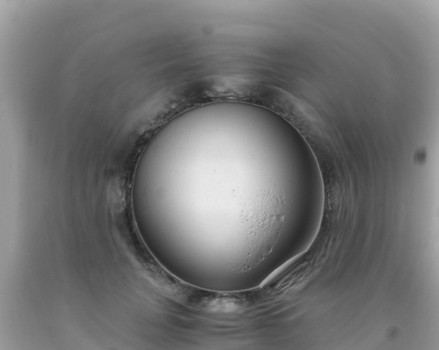 X0000093770751200710231312