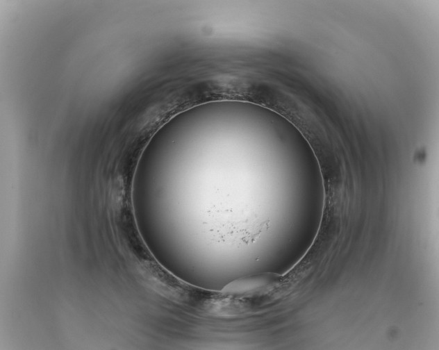 X0000093770752200710231312