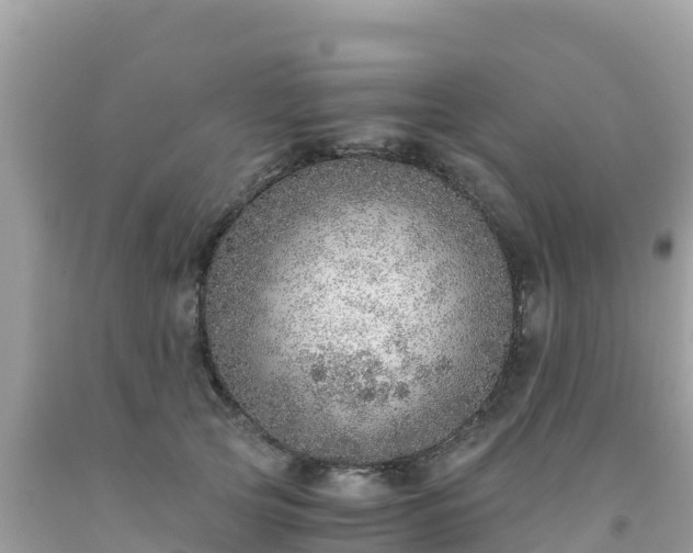 X0000093770753200710231312