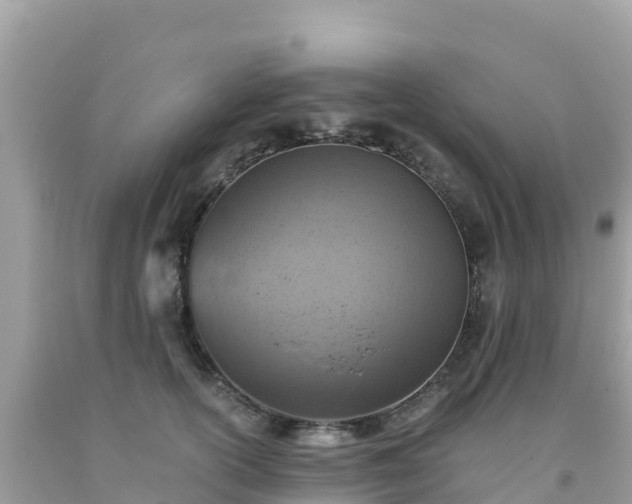 X0000093770754200710231312