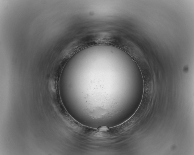 X0000093770755200710231312