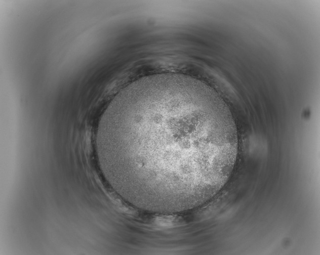 X0000093770757200710231312