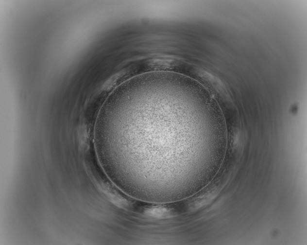 X0000093770759200710231312