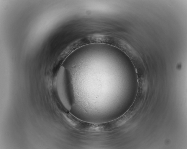 X0000093770760200710231312