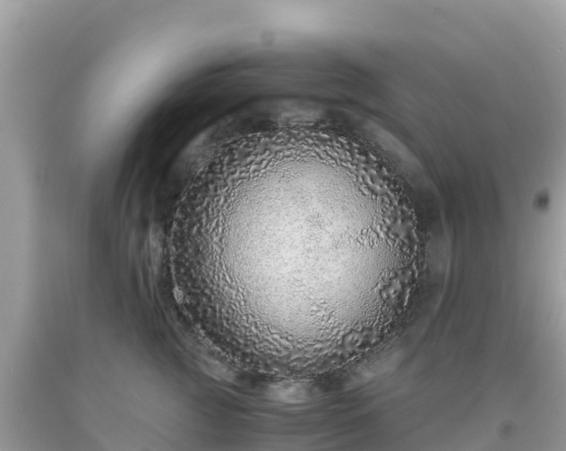 X0000093770761200710231312