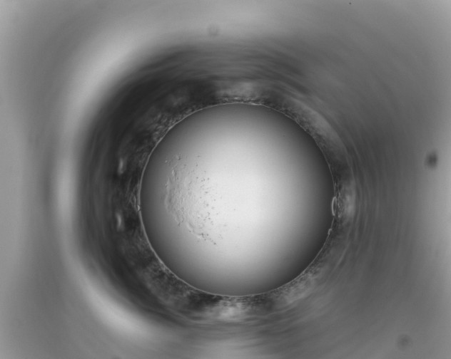 X0000093770764200710231312