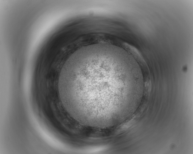 X0000093770765200710231312