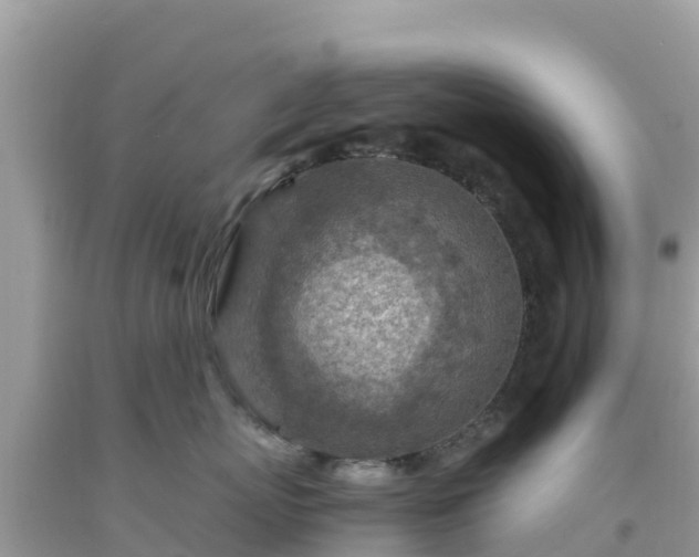 X0000093770767200710231312