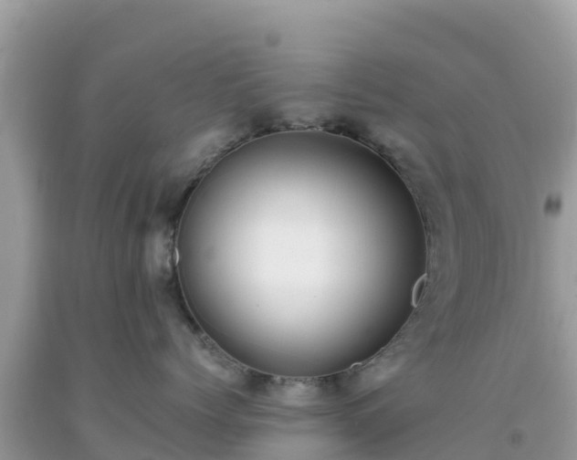 X0000093770768200710231312