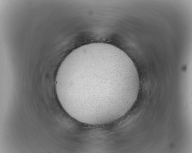 X0000093770769200710231312