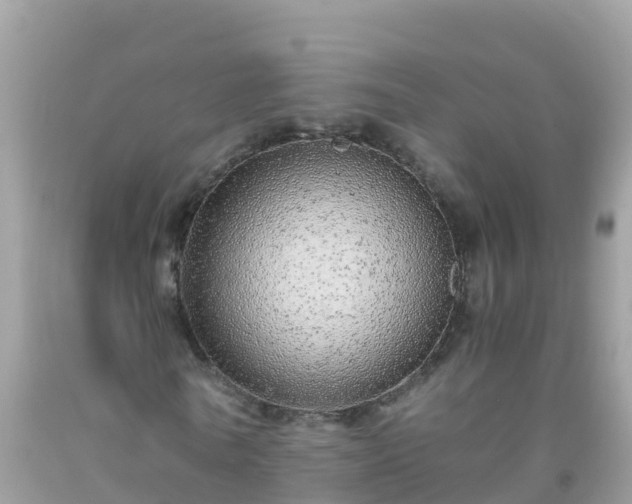 X0000093770770200710231312