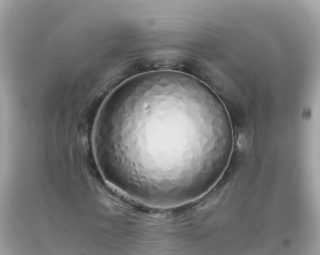 X0000093770771200710231312