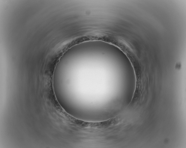 X0000093770773200710231312