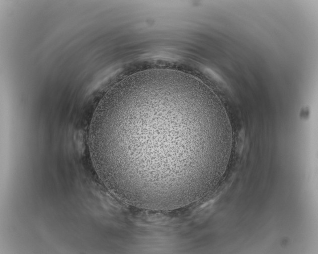 X0000093770774200710231311